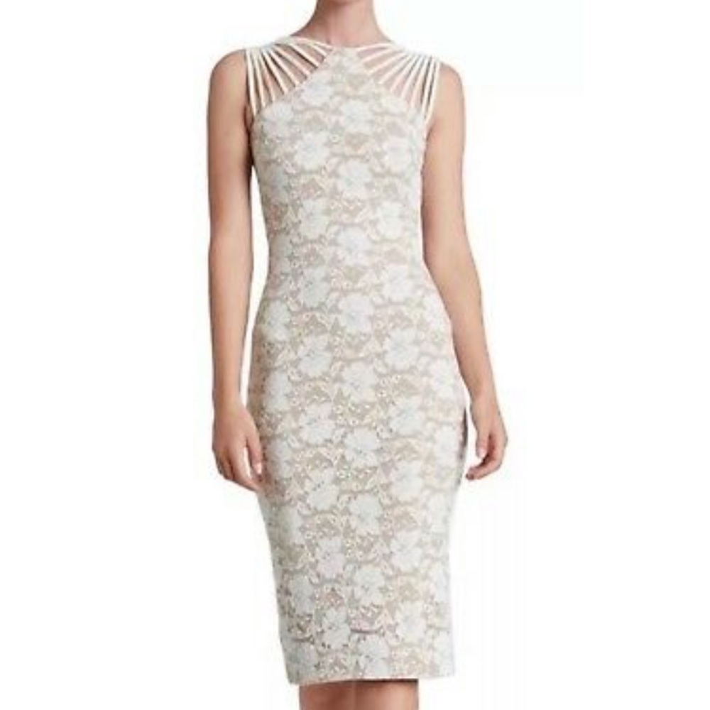 Dress the population lace dress